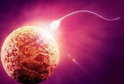 泰国试管服务机构如何根据实际情况定方案、安排行程？