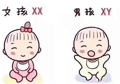 什么原因造成基础卵泡与美国试管婴儿取卵数不对等？