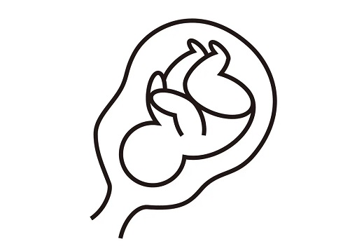 到俄罗斯做试管婴儿费用