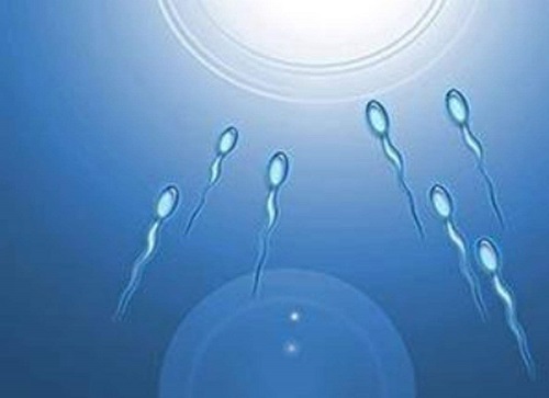 美国试管婴儿专家科普：如何提高胚胎质量