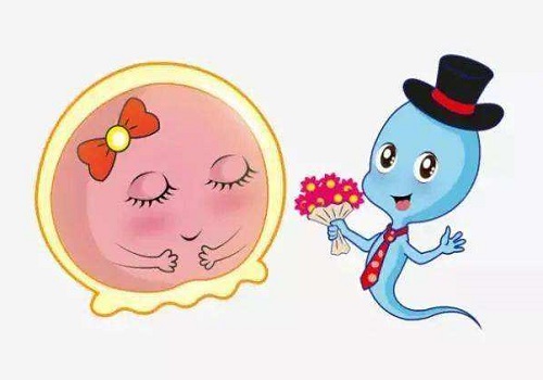 试管婴儿=1个精子+1个卵子，真的就这么简单？？