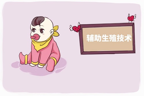 试管婴儿助孕期间能喝蛋白粉吗？