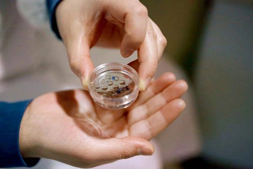 俄罗斯做试管婴儿用打夜针吗