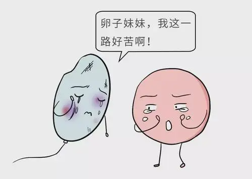 有没有40岁做试管一次成功的女人？