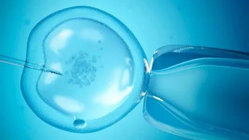 试管囊胚有分等级吗？什么样的胚胎更好？