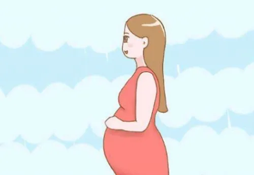 2022美国试管婴儿成功率高的依据