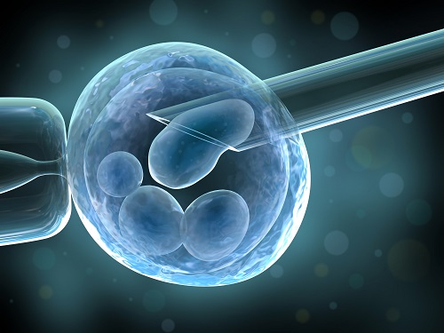 第三代泰国试管婴儿是如何选择胚胎的？