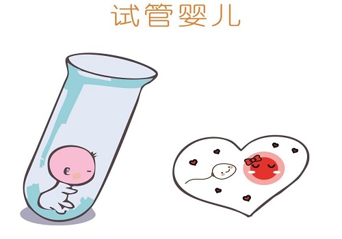 泰国试管婴儿之前，夫妻双方需要怎样保养身体？