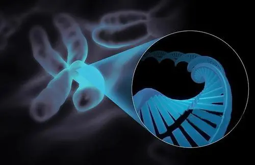 试管婴儿什么时候开始打针？和自然受孕出生孩子有差别吗？
