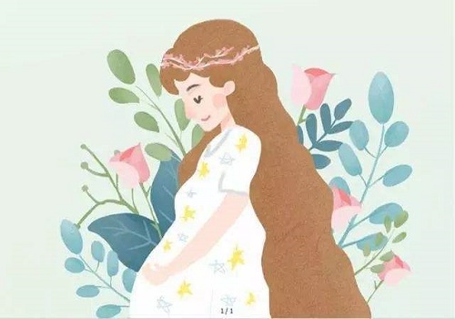 俄罗斯试管婴儿胚胎的发育过程