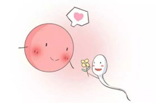 高龄女性做试管婴儿会面临哪些困难？