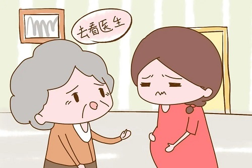 试管婴儿冷冻胚胎和新鲜胚胎移植的成功率哪个高？