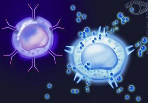 免疫性因素对影响试管的表现，美国梦美专家科学应对