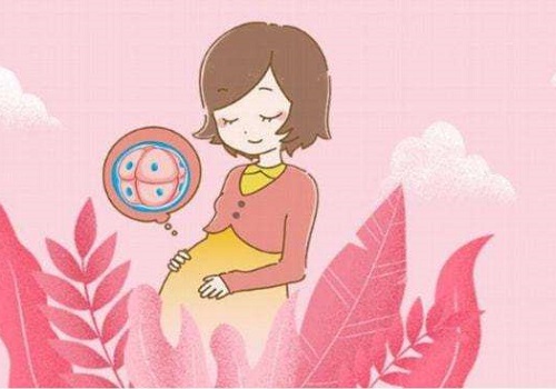 试管婴儿冷冻胚胎和新鲜胚胎移植的成功率哪个高？