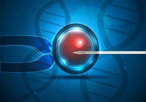 2022美国试管婴儿费用详解