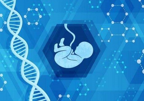 一文带您详细了解美国试管婴儿