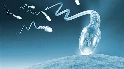 4点分析，深入浅出解读美国试管婴儿注意事项